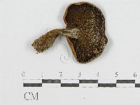 登錄號:F0001759藏品圖，第3張