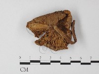 登錄號:F0001761藏品圖，第3張