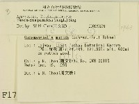 登錄號:F0001763藏品圖，第2張