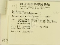 登錄號:F0001763藏品圖，第3張