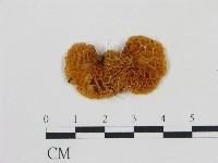 登錄號:F0001763藏品圖，第4張