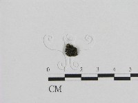 登錄號:F0001764藏品圖，第3張