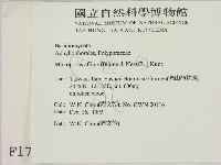 相鄰小孔菌藏品圖，第2張