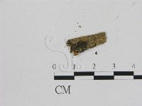 登錄號:F0001770藏品圖，第3張