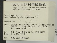 登錄號:F0001771藏品圖，第2張