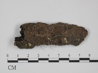 登錄號:F0001771藏品圖，第1張