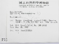 粉褶菌屬藏品圖，第2張
