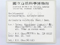 毛木耳藏品圖，第2張