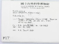 多孔菌屬藏品圖，第2張