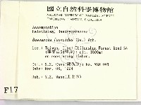 登錄號:F0001776藏品圖，第2張