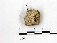 登錄號:F0001776藏品圖，第1張
