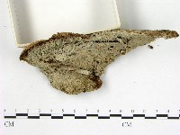 登錄號:F0001778藏品圖，第3張