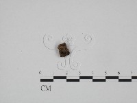 登錄號:F0001779藏品圖，第1張
