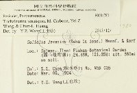 登錄號:F0001780藏品圖，第2張