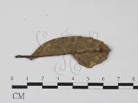 登錄號:F0001782藏品圖，第3張