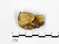 登錄號:F0001783藏品圖，第1張