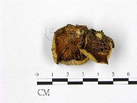 登錄號:F0001783藏品圖，第3張