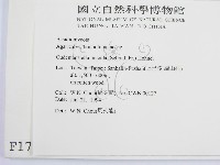 登錄號:F0001784藏品圖，第2張