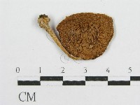 登錄號:F0001784藏品圖，第3張