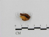 登錄號:F0001785藏品圖，第3張