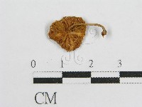 登錄號:F0001786藏品圖，第3張