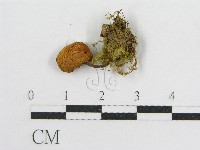登錄號:F0001788藏品圖，第3張