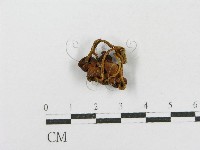 登錄號:F0001791藏品圖，第1張