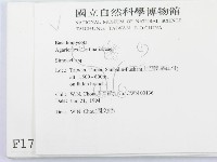 登錄號:F0001793藏品圖，第2張