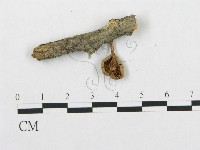 登錄號:F0001793藏品圖，第3張