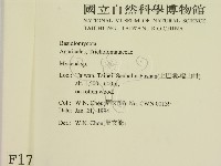 小菇屬藏品圖，第2張