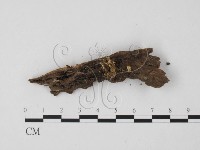 登錄號:F0001797藏品圖，第3張