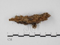 登錄號:F0001797藏品圖，第4張