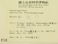 小菇屬藏品圖，第2張