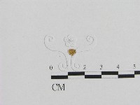 登錄號:F0001804藏品圖，第1張
