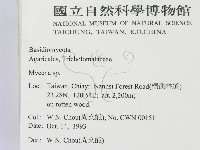 小菇屬藏品圖，第2張