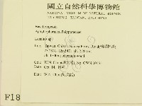 登錄號:F0001812藏品圖，第2張