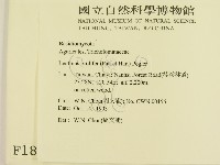 登錄號:F0001813藏品圖，第2張