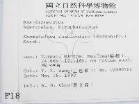 登錄號:F0001817藏品圖，第2張