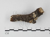 登錄號:F0001820藏品圖，第1張