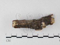 登錄號:F0001820藏品圖，第3張