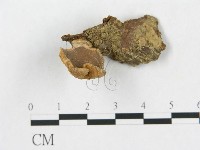 登錄號:F0001823藏品圖，第1張