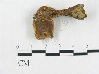 登錄號:F0001823藏品圖，第3張