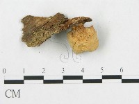 登錄號:F0001823藏品圖，第4張