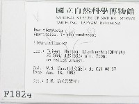 登錄號:F0001824藏品圖，第2張