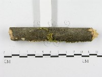 登錄號:F0001824藏品圖，第4張