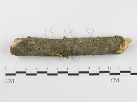 登錄號:F0001824藏品圖，第5張