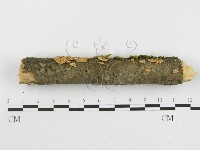 登錄號:F0001824藏品圖，第6張