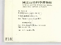 登錄號:F0001825藏品圖，第2張