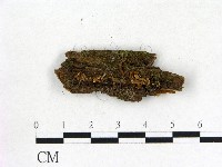 登錄號:F0001825藏品圖，第1張