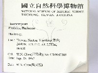 登錄號:F0001826藏品圖，第2張